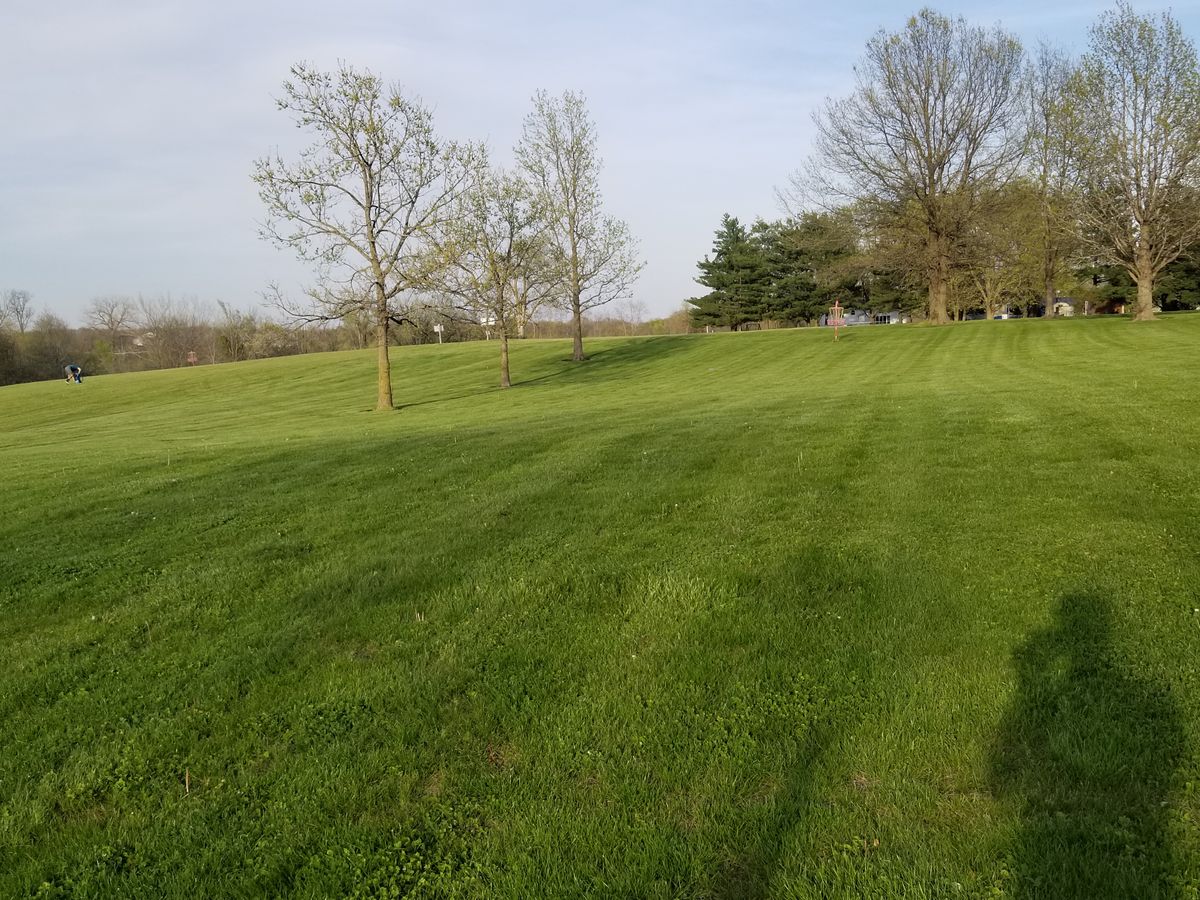 Hole 12 in the fairway looking toward the basket