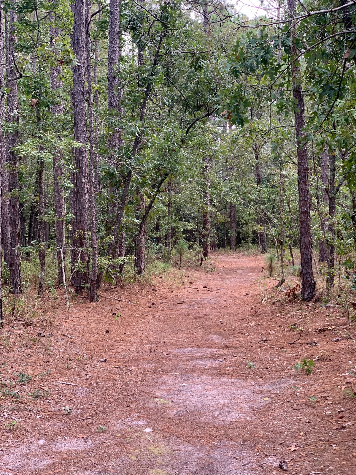 Around a short jog to the left