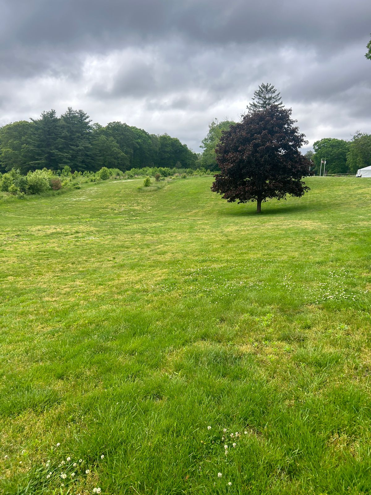 Hole 5 - Startline