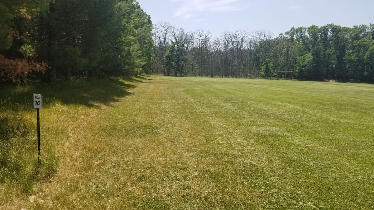 Hole 10. Basket on left side, edge of the woods.