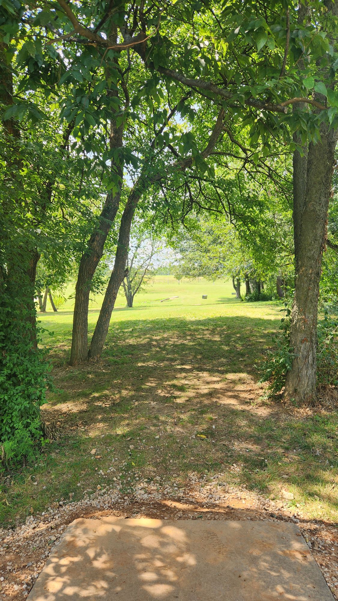 Hole 10 Tee