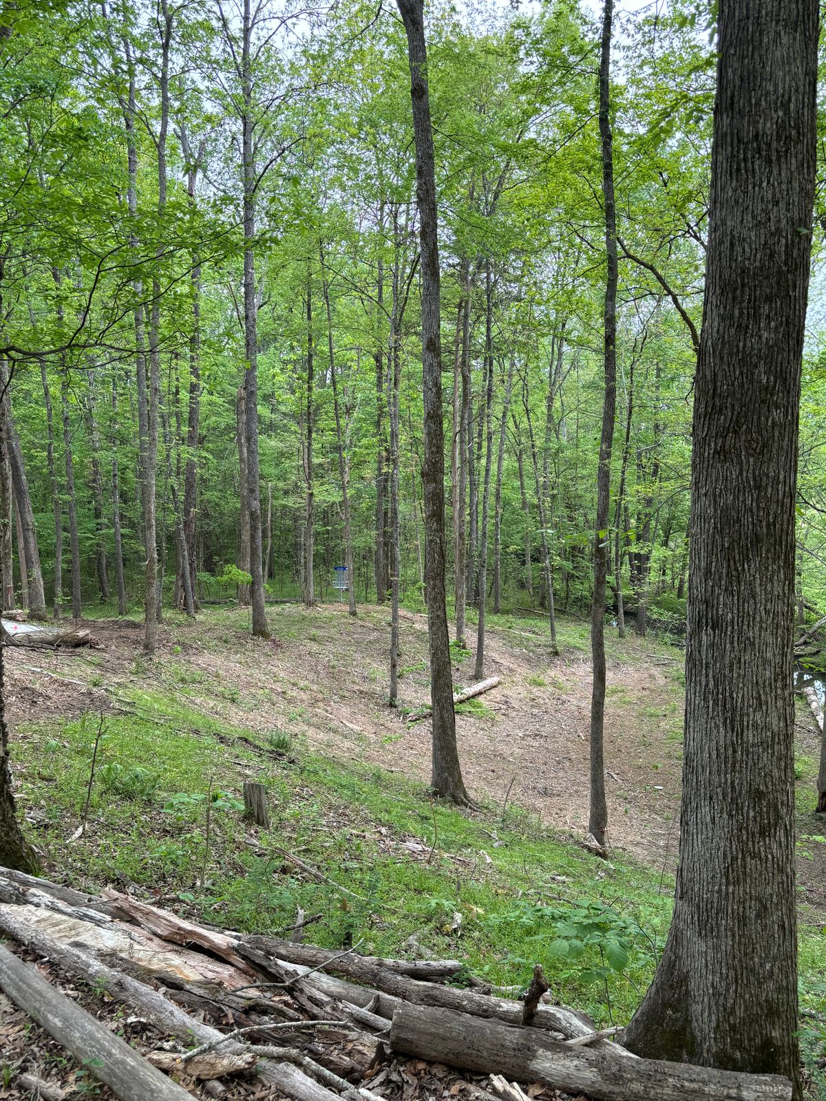 Hole 10
