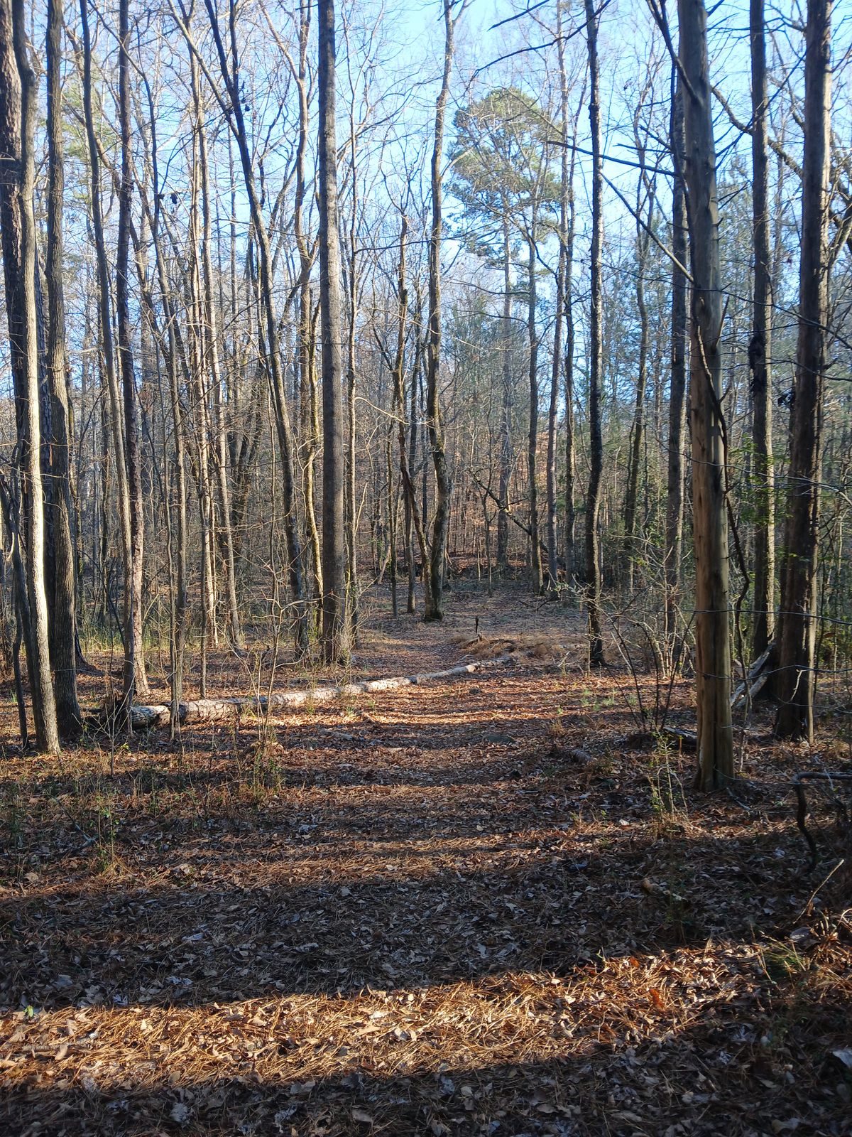 3, basket on left