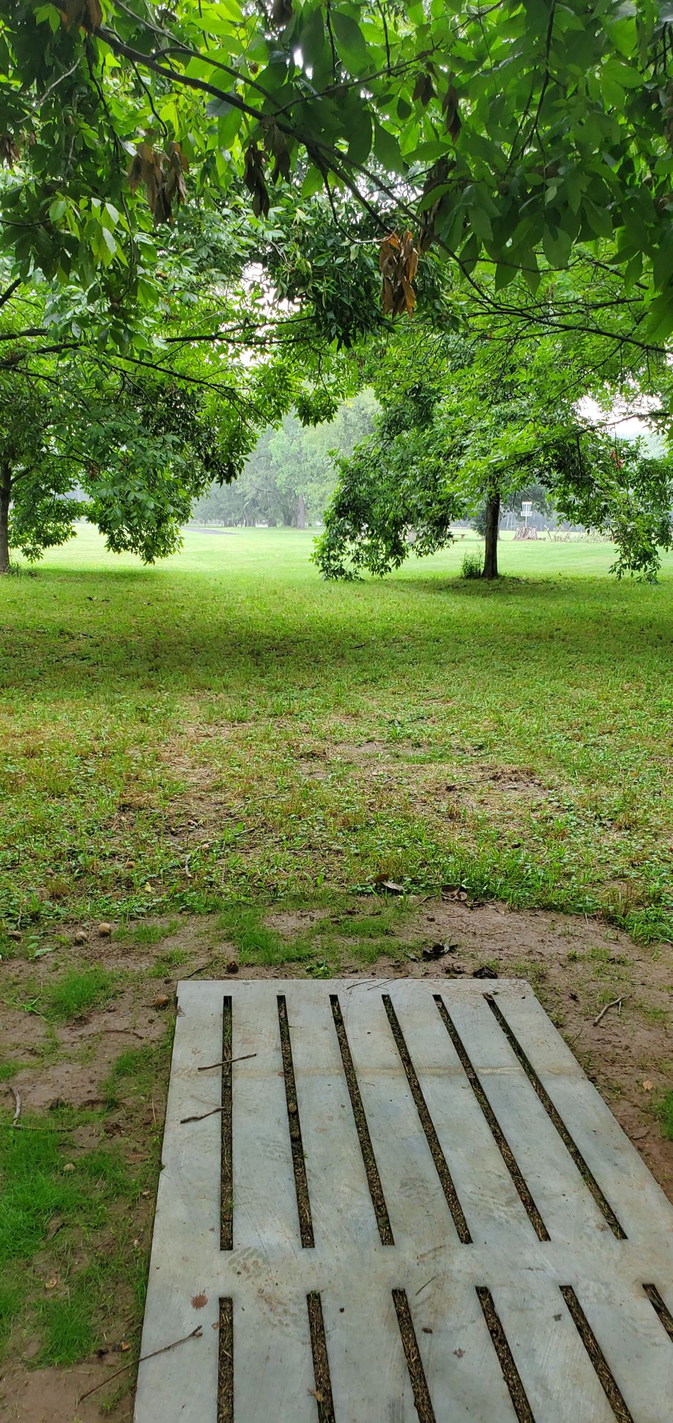 Hole 2 tee pad
