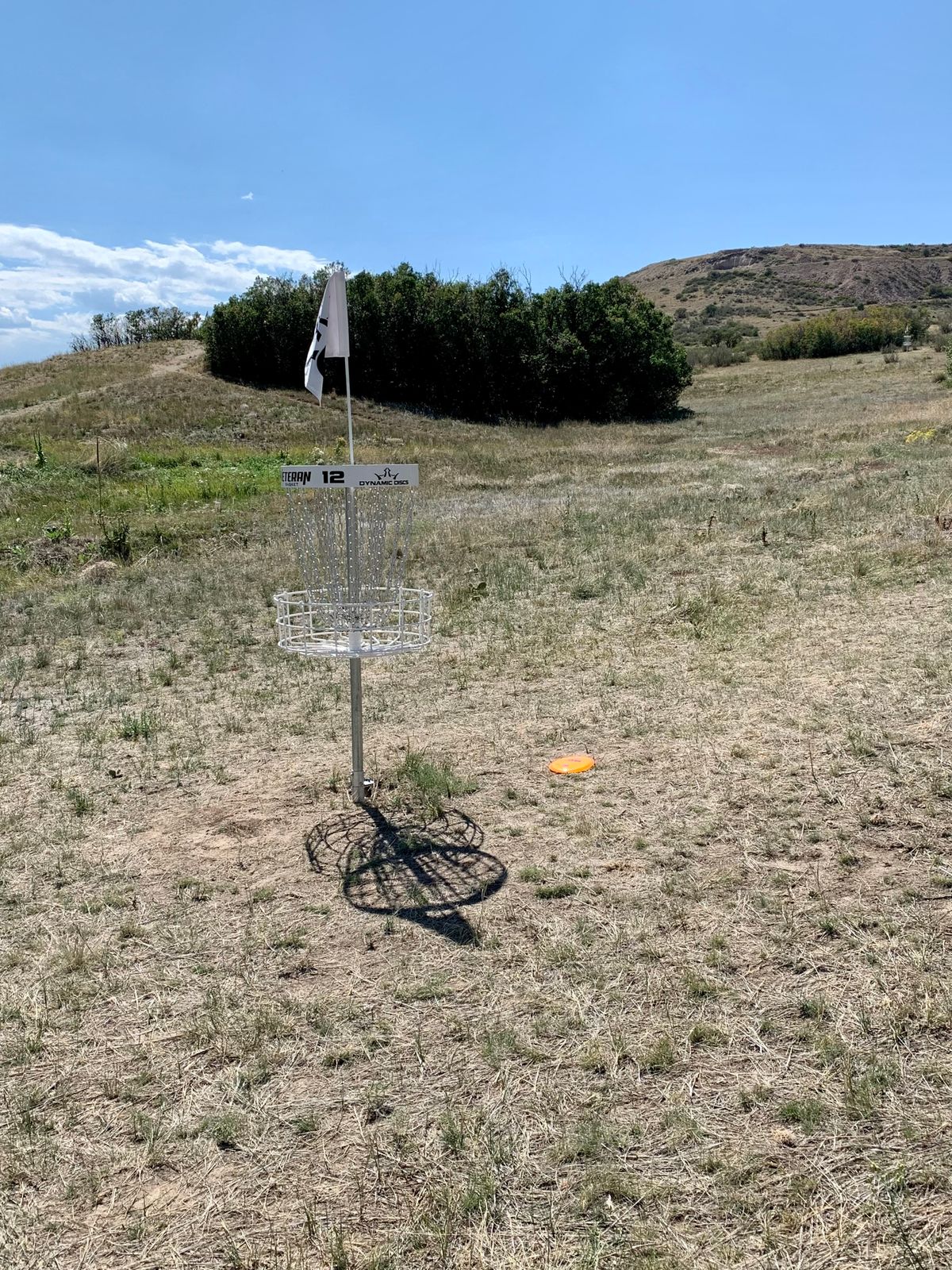 Hole 12 basket