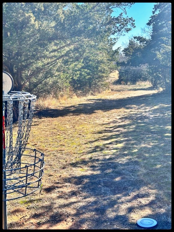 #6 green looking back to Tee
