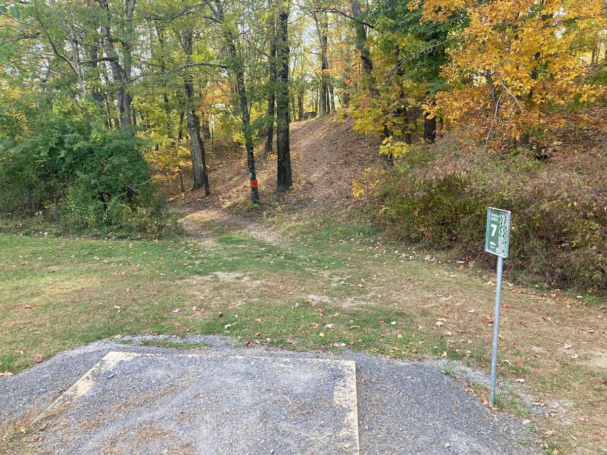 Hole 7