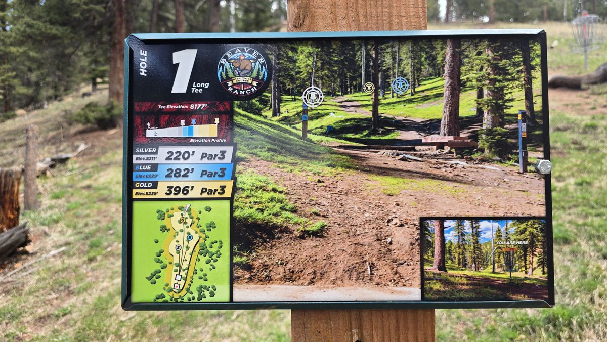 Incredible tee signs! Bottom right is a photo from gold pin back to tee pad. Distances plus elevation change from tee to pin.