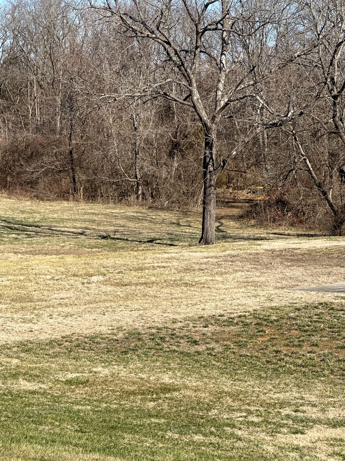 #1 fairway and basket