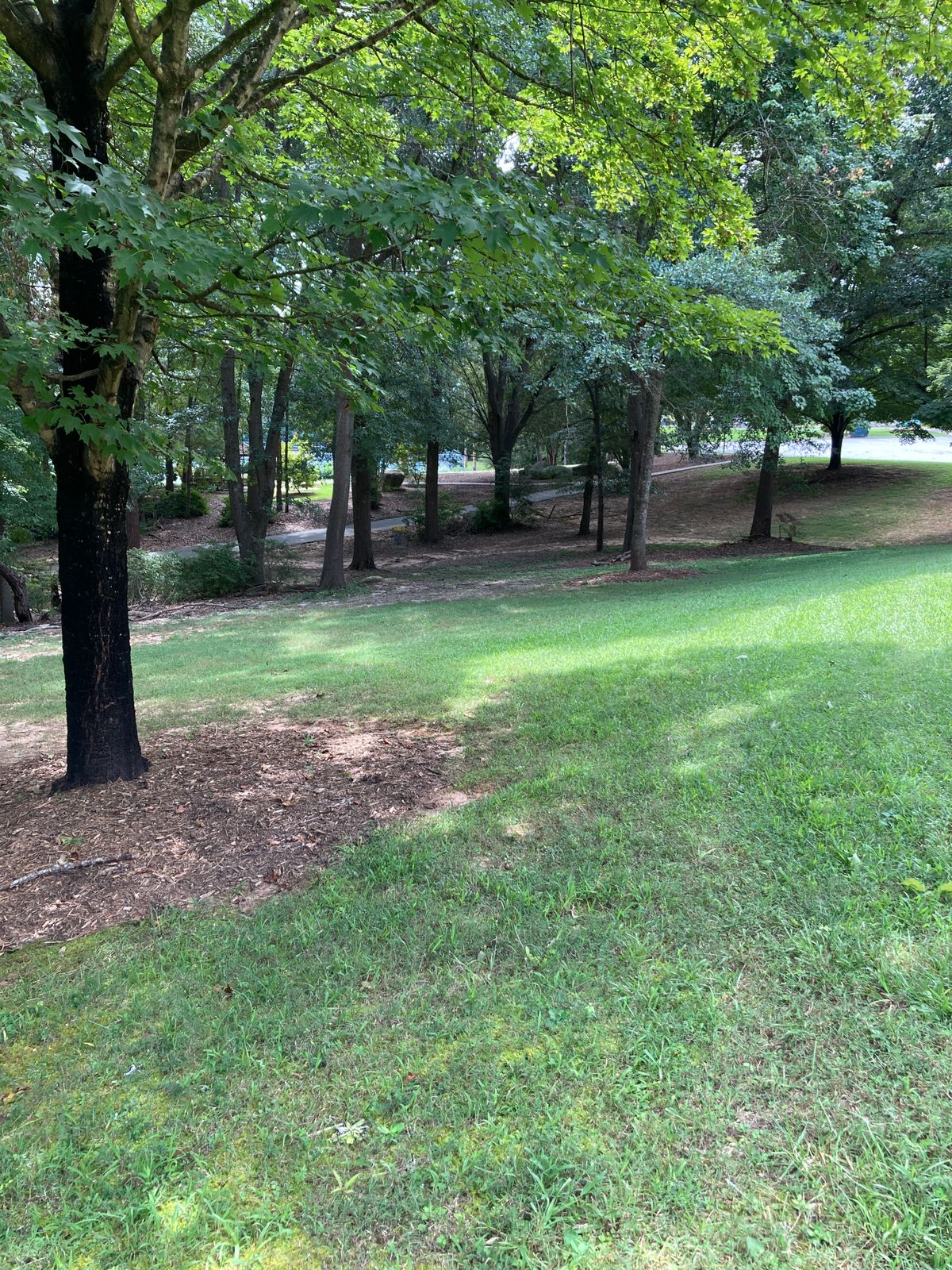 Hole 18 - basket - fast green with downhill approach - OB path 30ft past basket