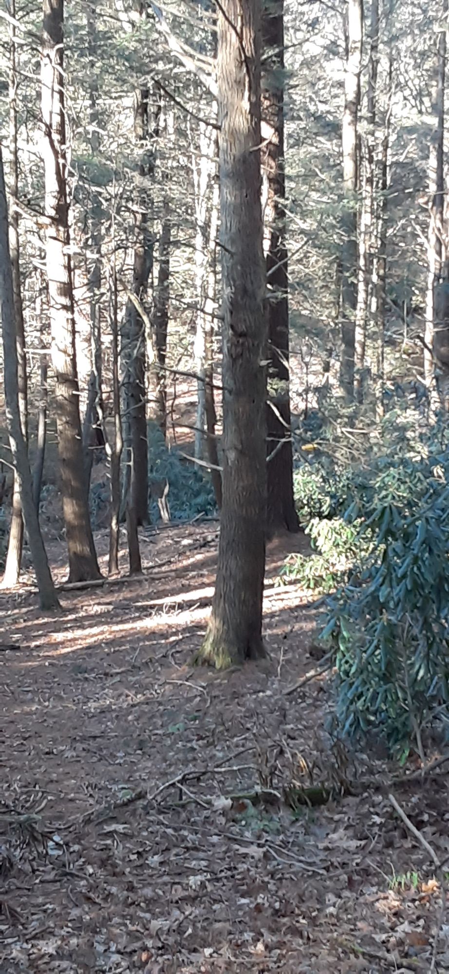 Hole 1 tee