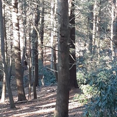 Hole 1 tee