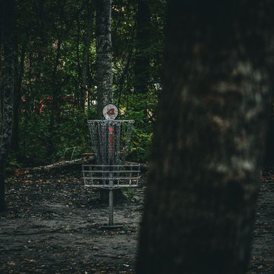 Hole 4 - @ShelbyFramesTheDisc