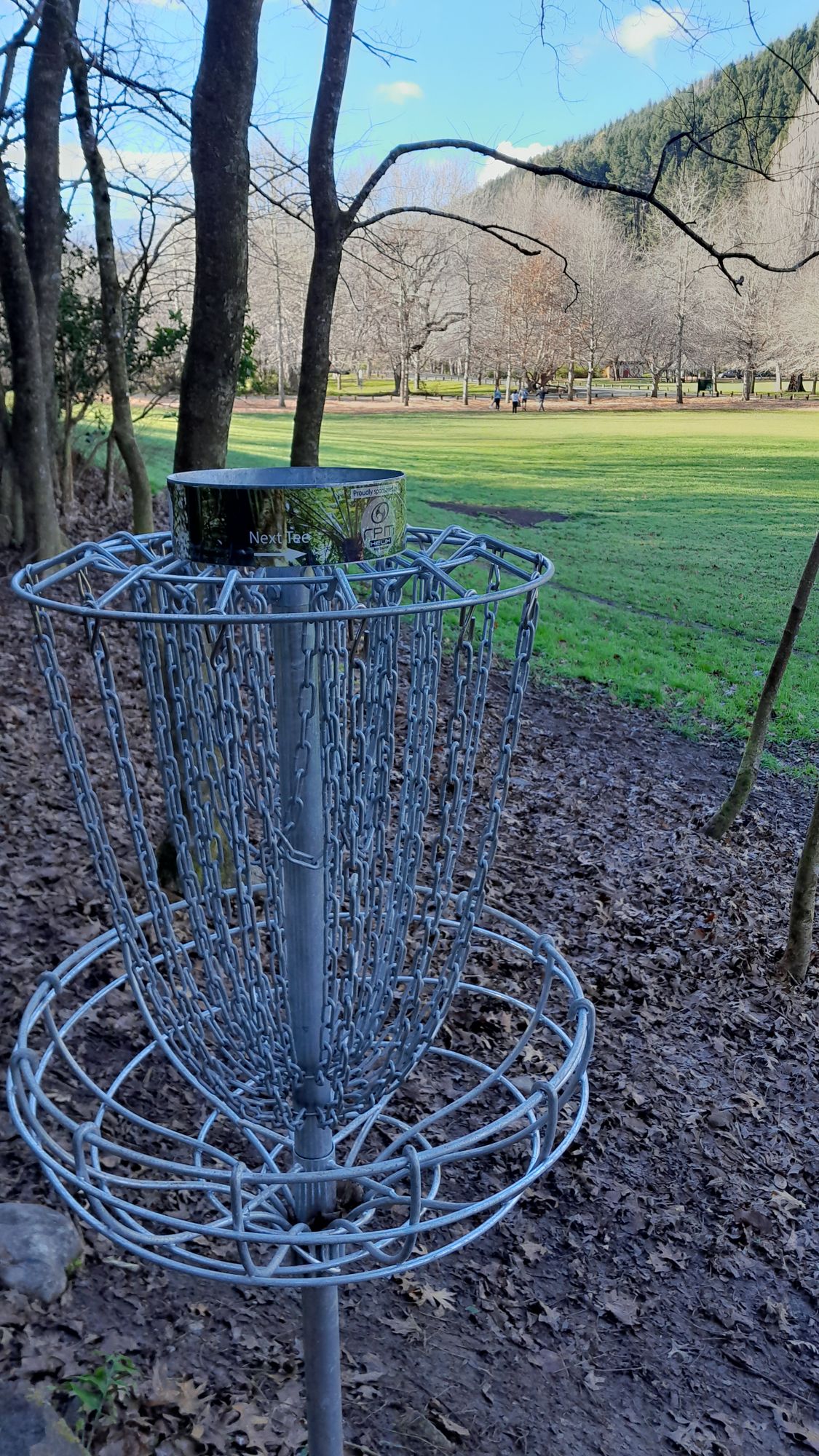 Hole 14 basket