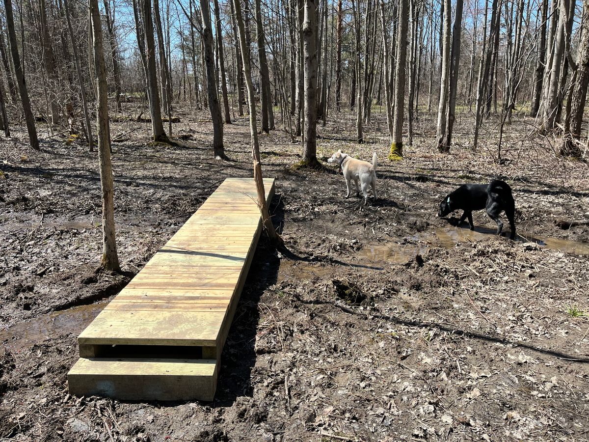 Bridge on hole 8 with Jack & Dexter
