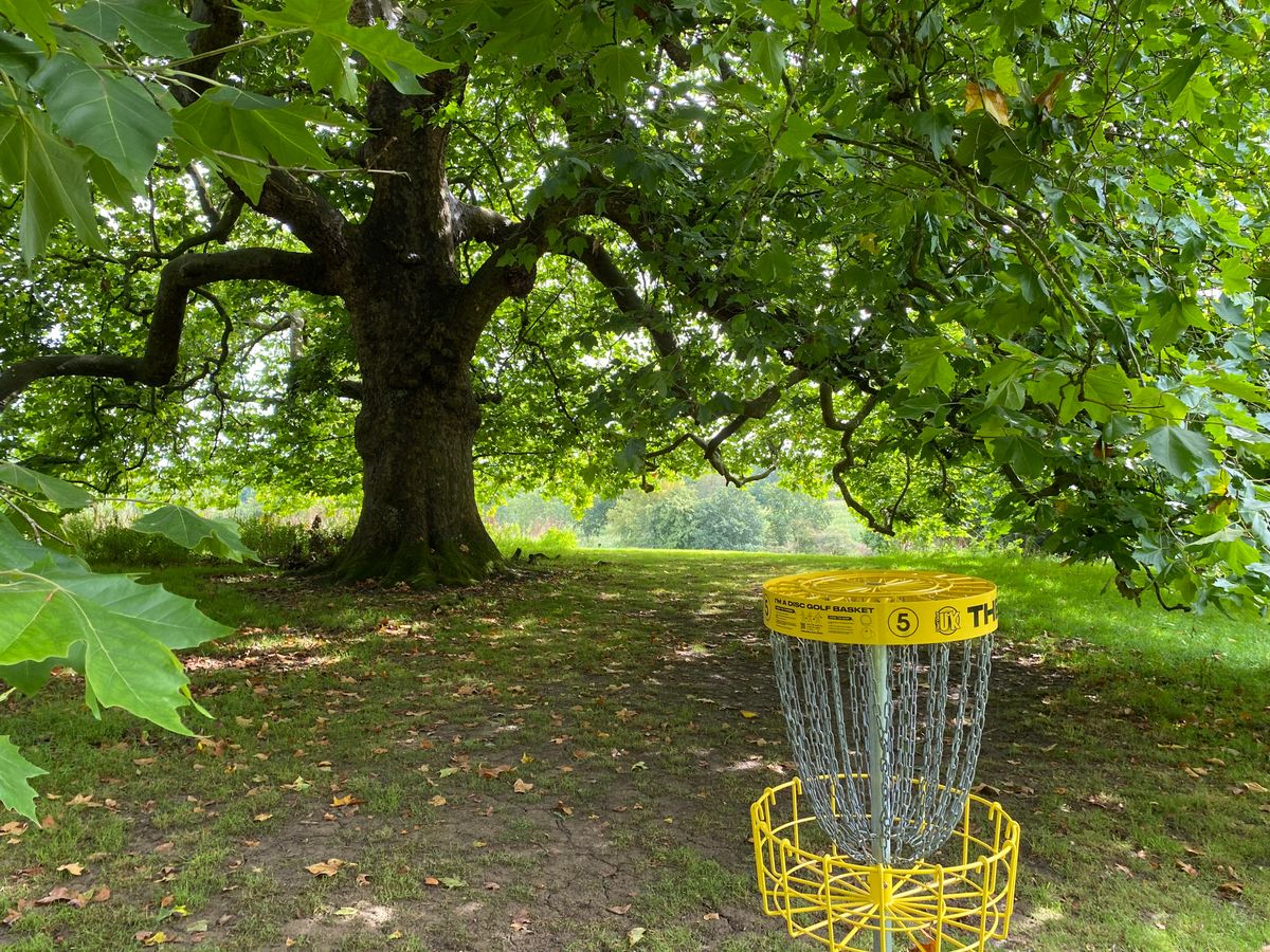 Hole five basket  looking back towards tee