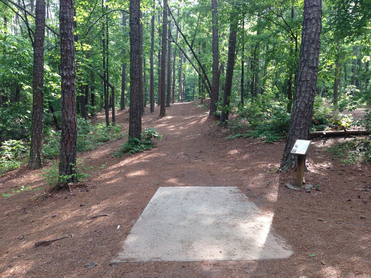 Hole 17 -- long tee