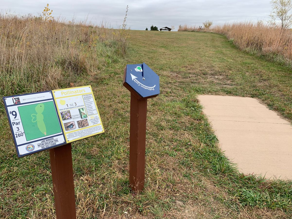 Hole 9 
Pollinators