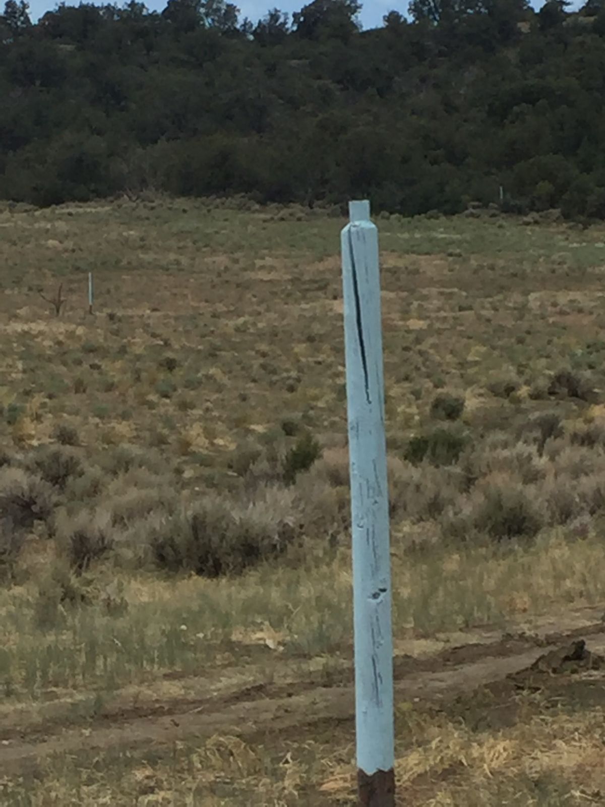 Pins are painted posts.