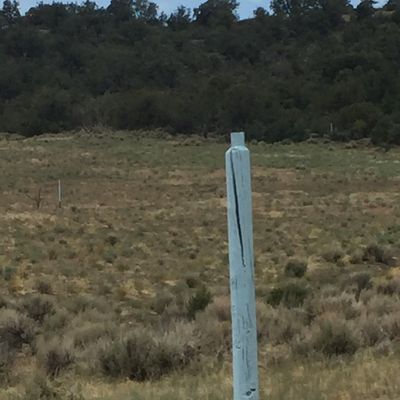 Pins are painted posts.