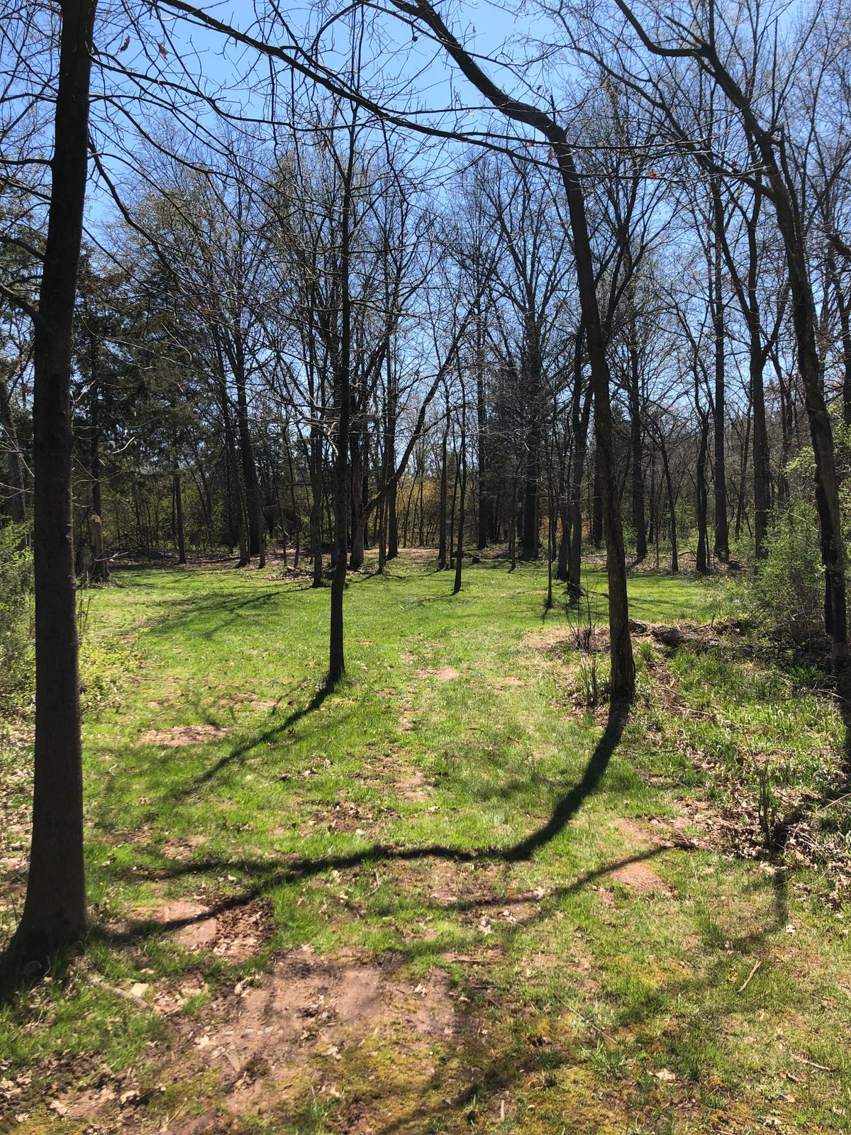 Hole 3 - short tee