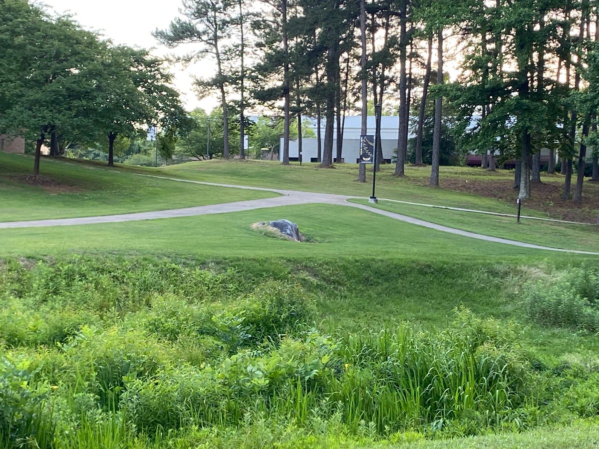 #4, tee to basket view. 320 feet