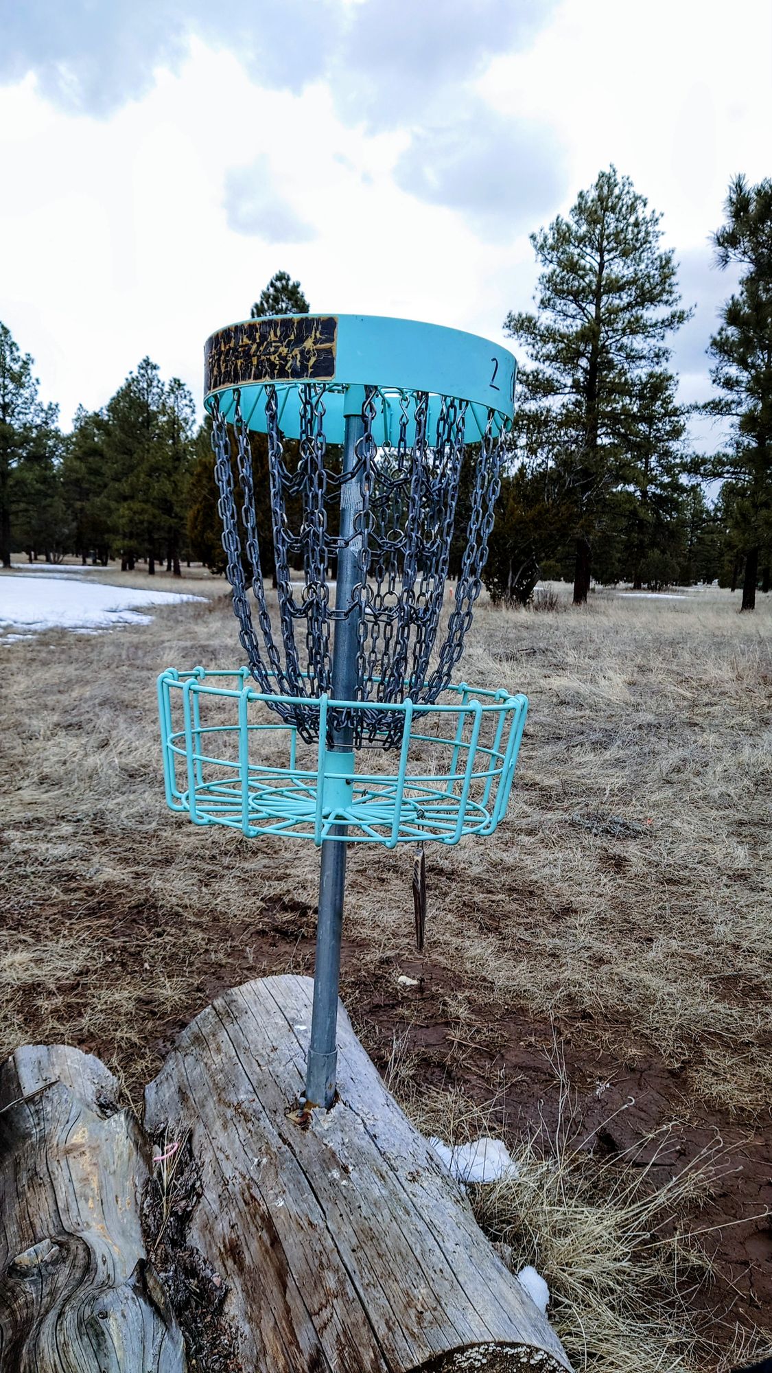 The second basket is slightly behind some trees from the tee