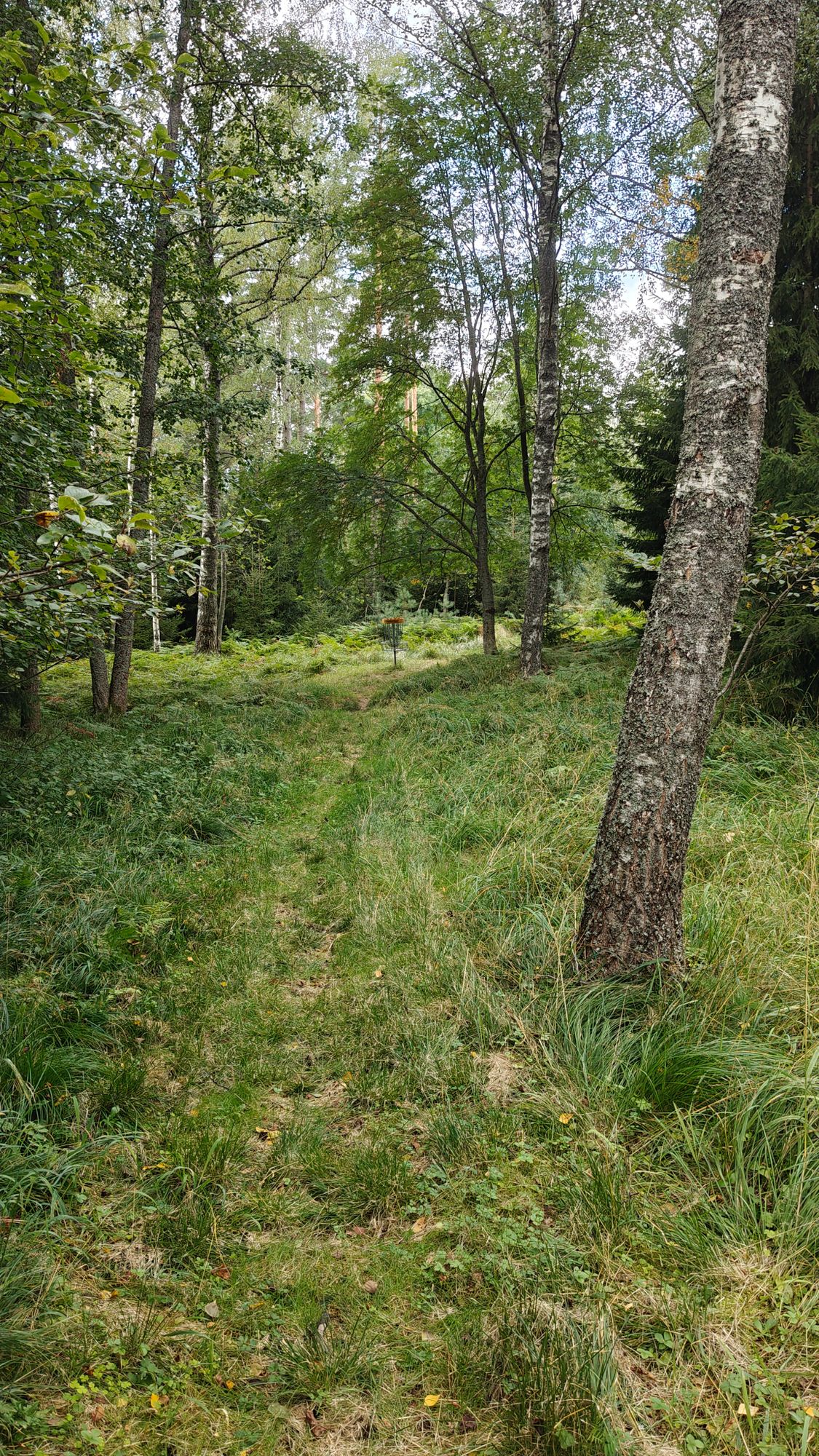 Hole 3