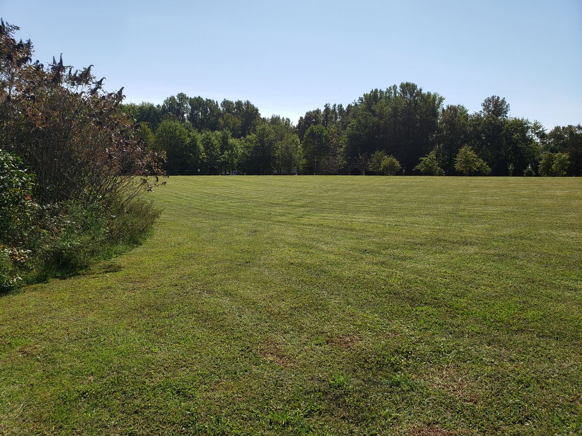 Hole 8.