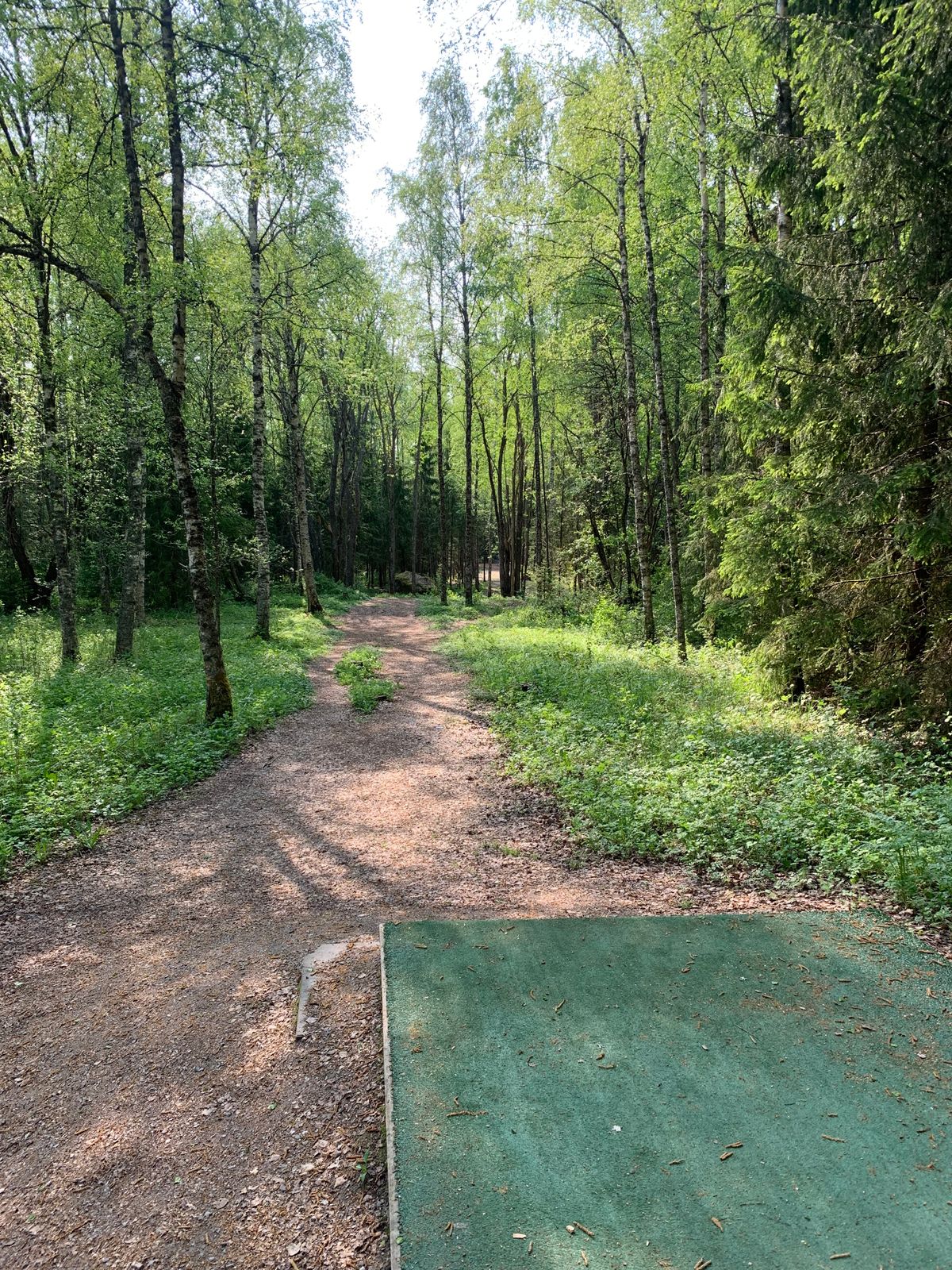 Hole 2 tee