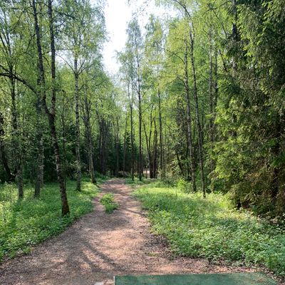 Hole 2 tee