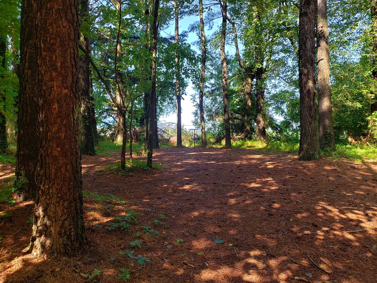 Hole 7 Basket