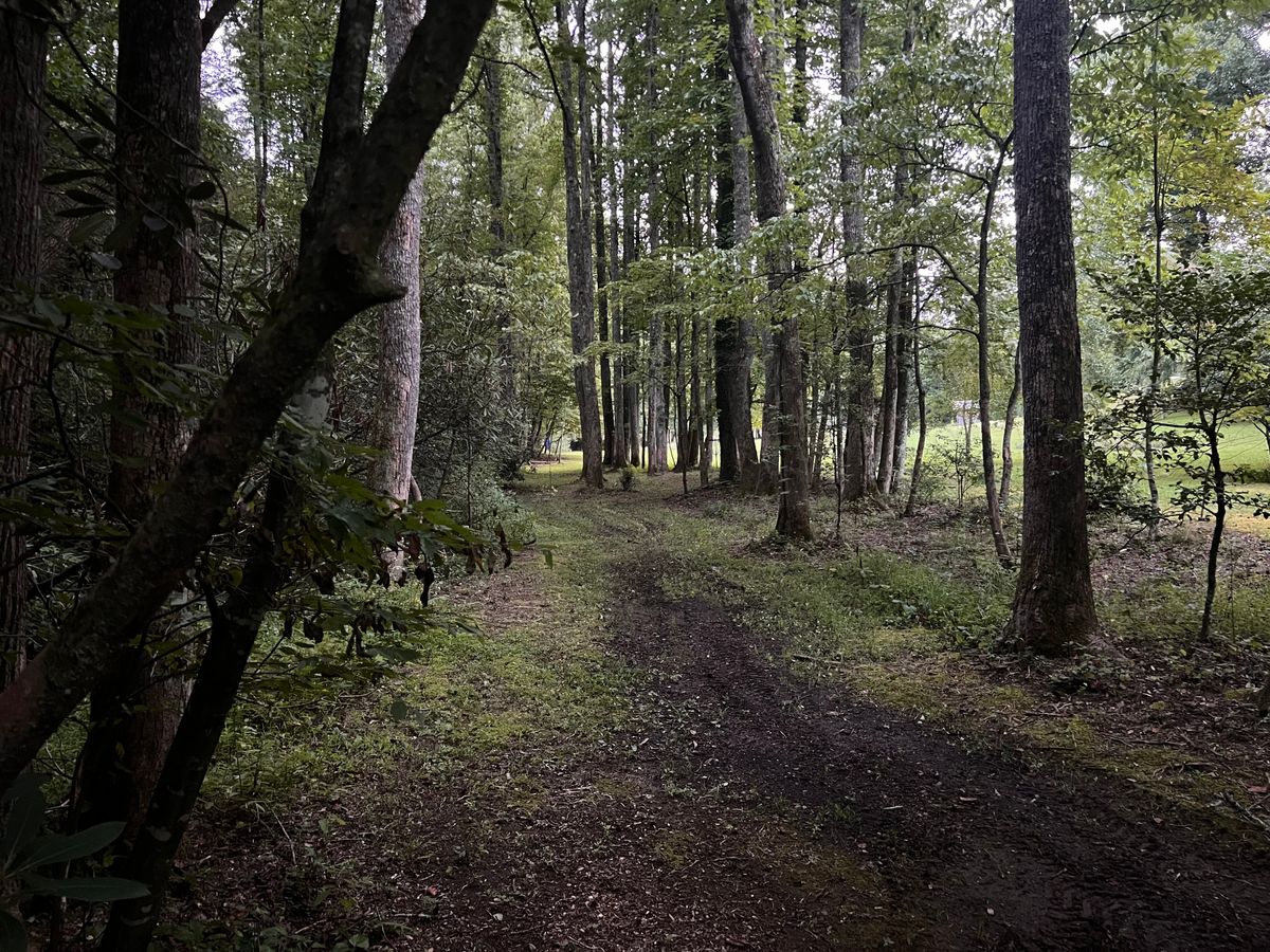 Hole 2 fairway, basket on the right.