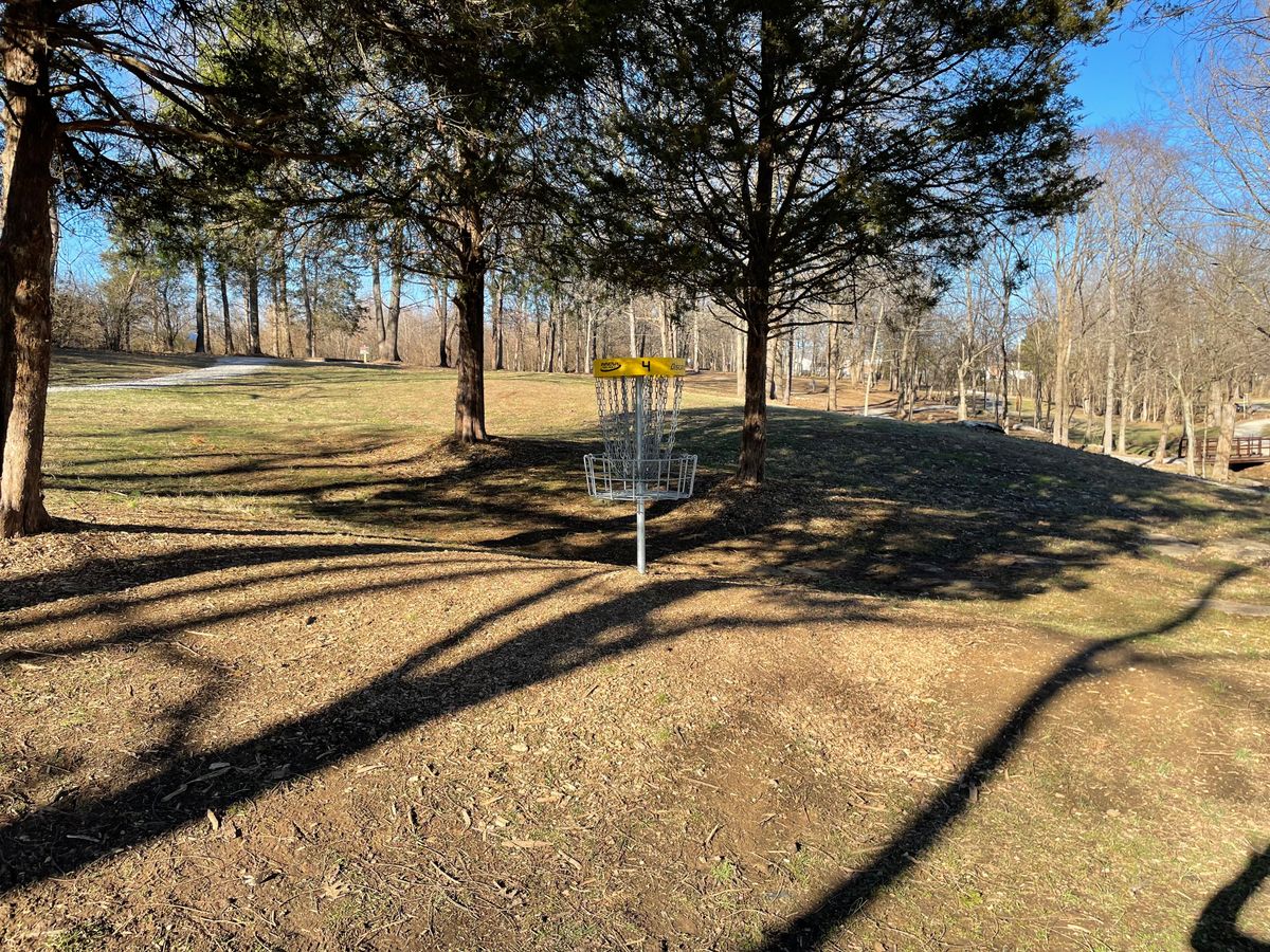 Hole 4 fairway and basket
