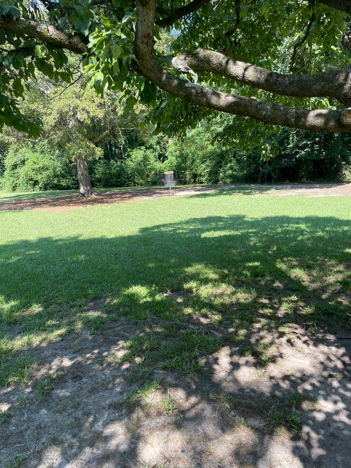 Hole #10 Approach To The Basket
