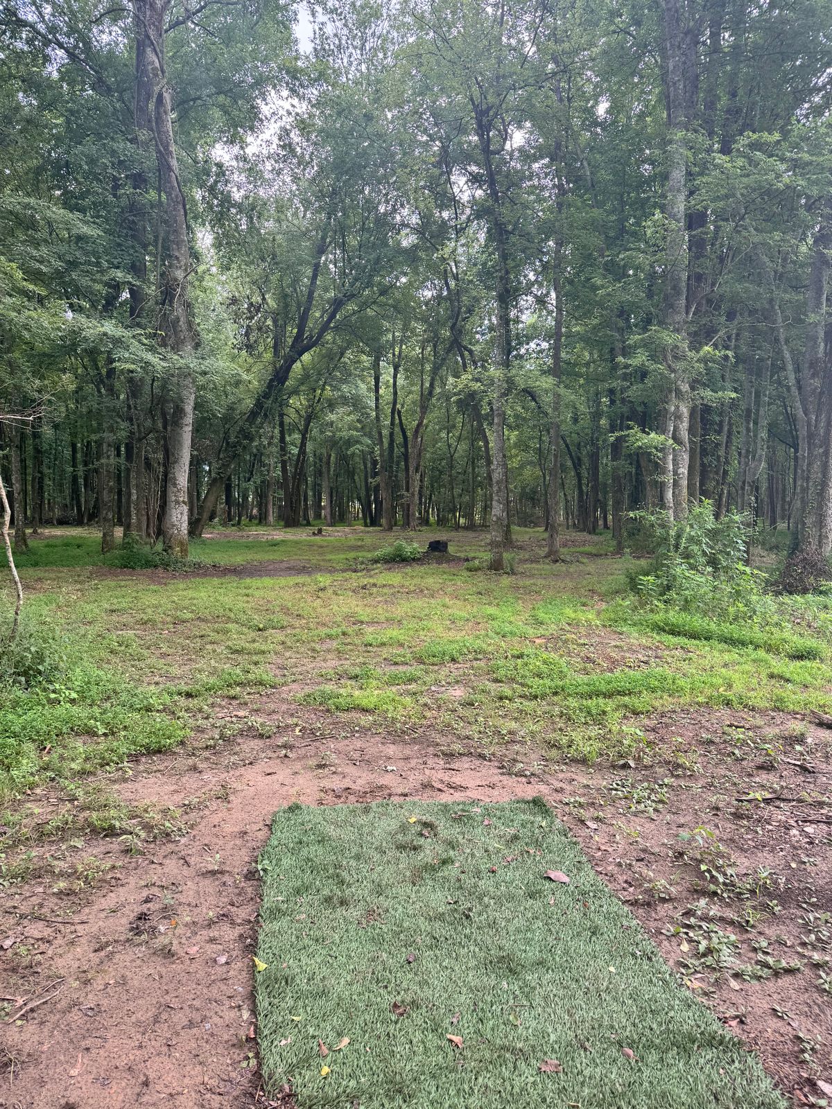 Hole 4