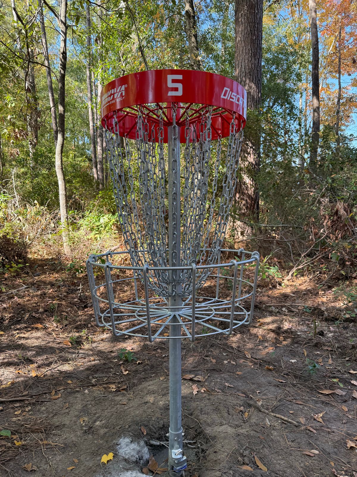 Hole 5 basket