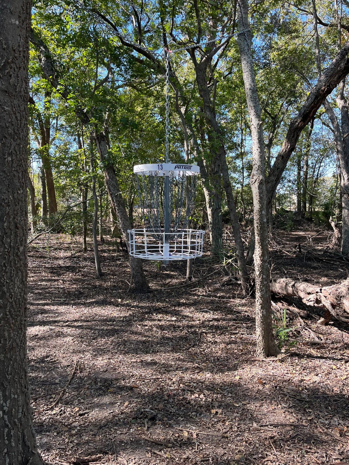 Hole 13 hanging basket