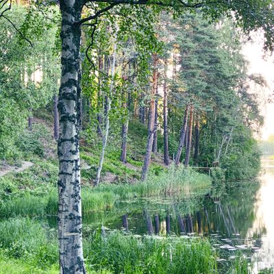 Väylä 10