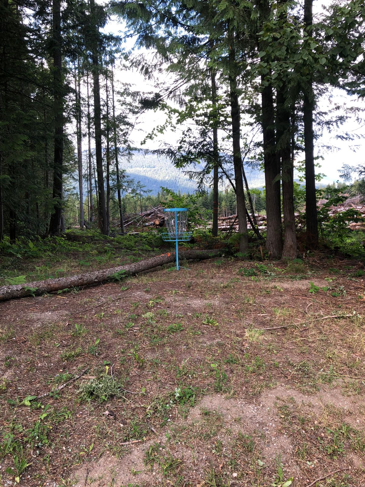 Hole 1 basket