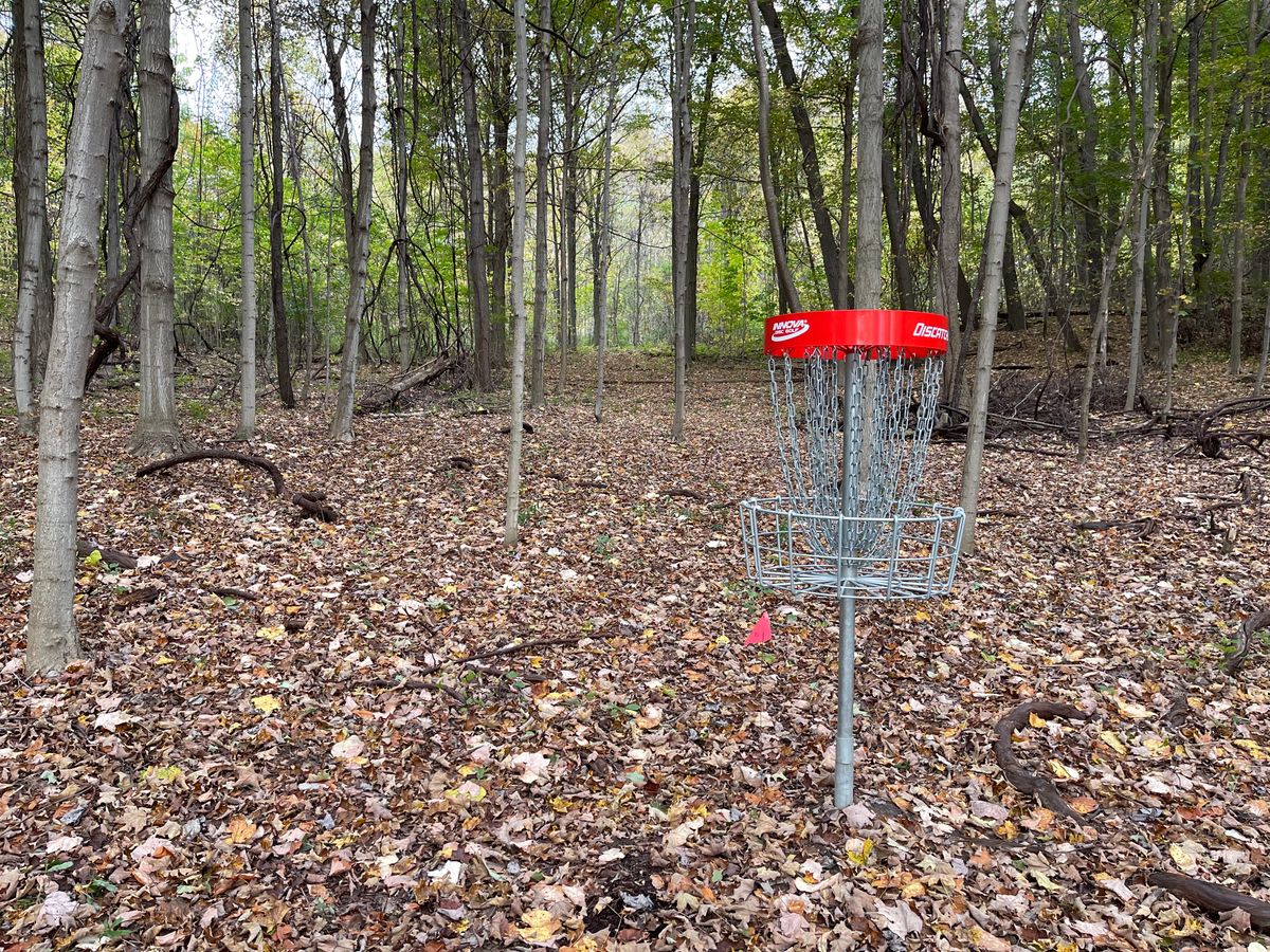 I Basket to Tee
