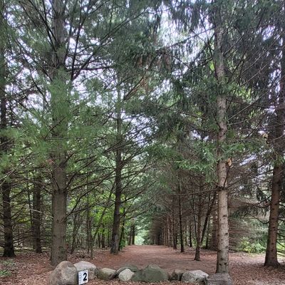Hole 2