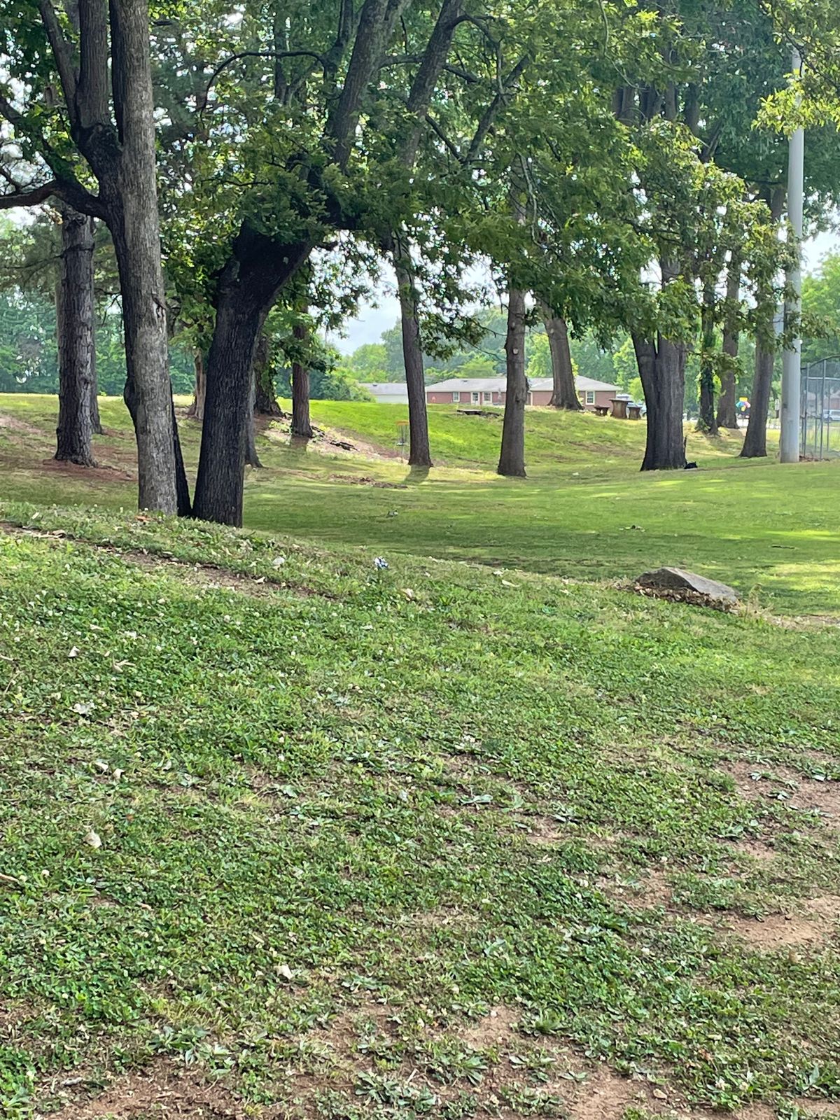 Hole 11