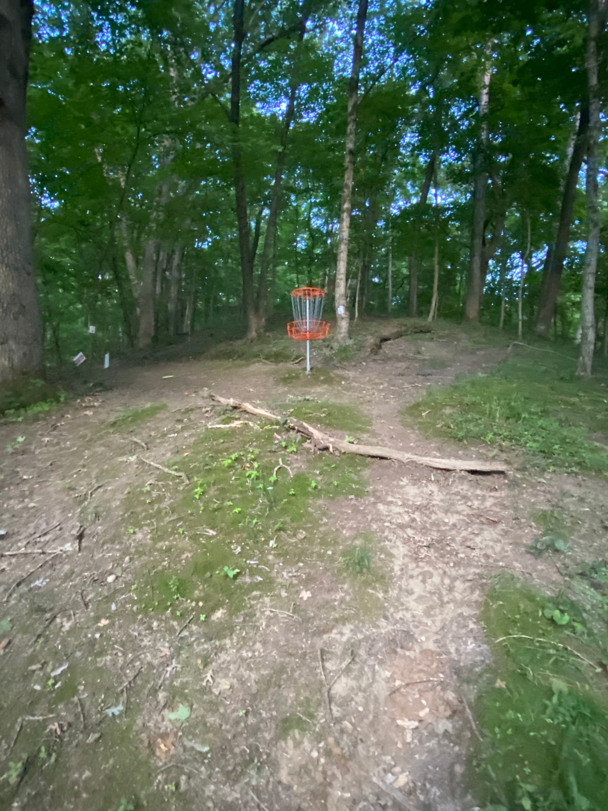 Hole 9 basket