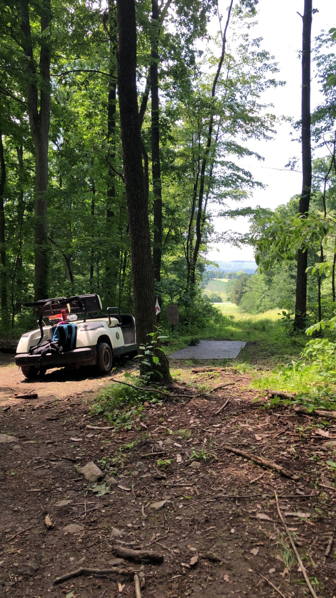 Hole 5