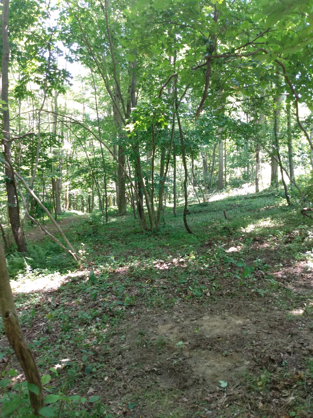 Current hole #4
Future hole # 12