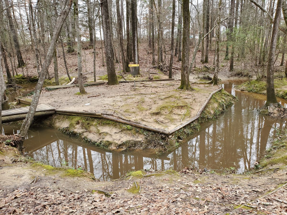 Island Green on Hole 7.