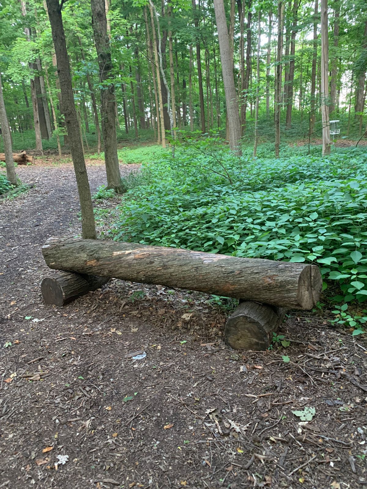 One of the neater benches here.