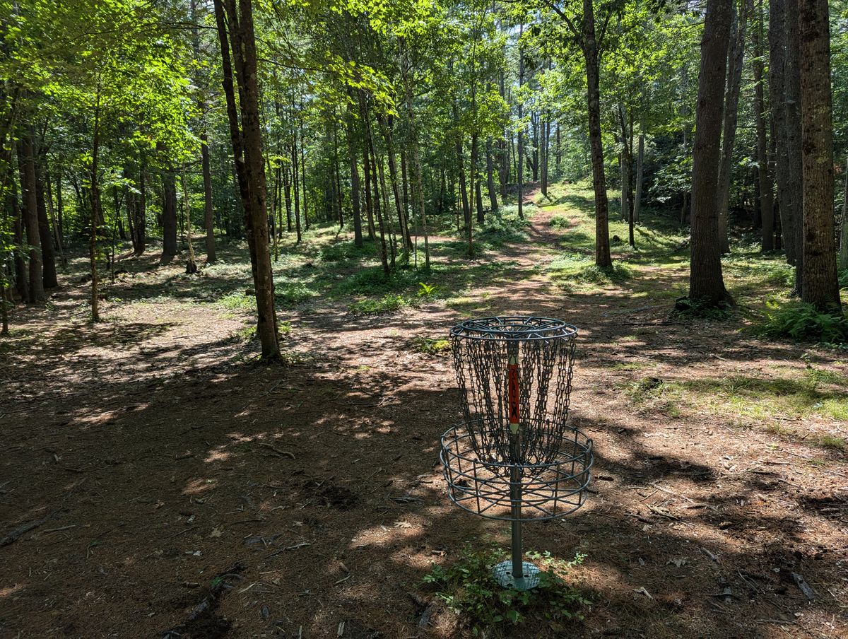 Looking back on Hole #2 [w/the basket in the "1" position].
