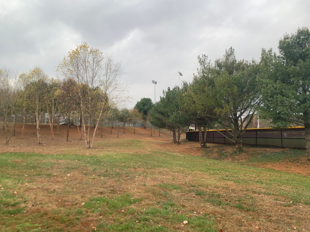 Hole 6
